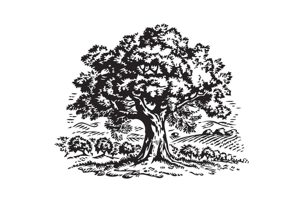 графический элемент упаковки в черно-белом