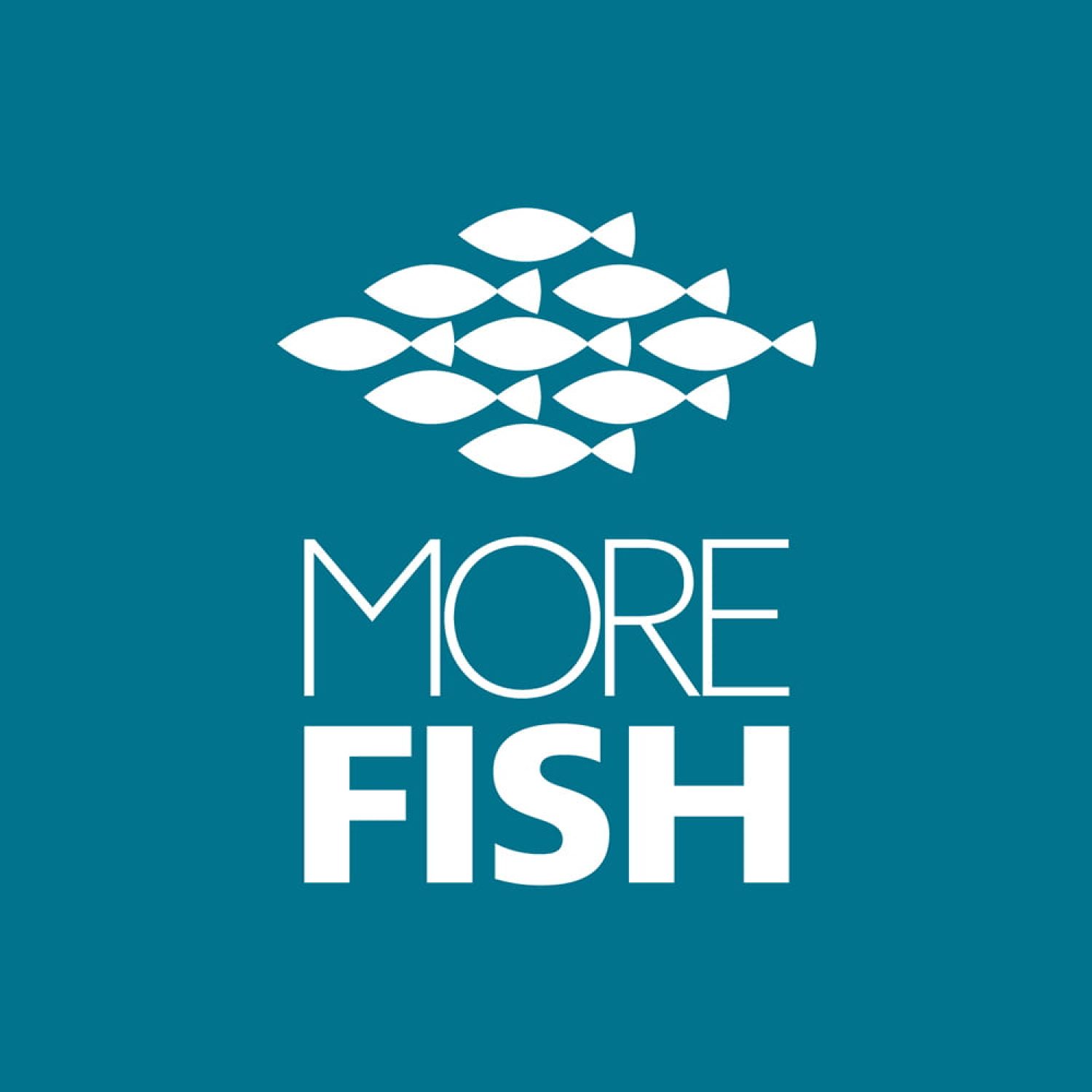 MORE FISH logo with fish shoal on teal background — seafood restaurant brand identity