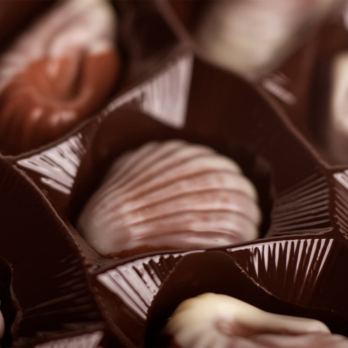 Belgian Legend assorted seashell chocolates inside packaging