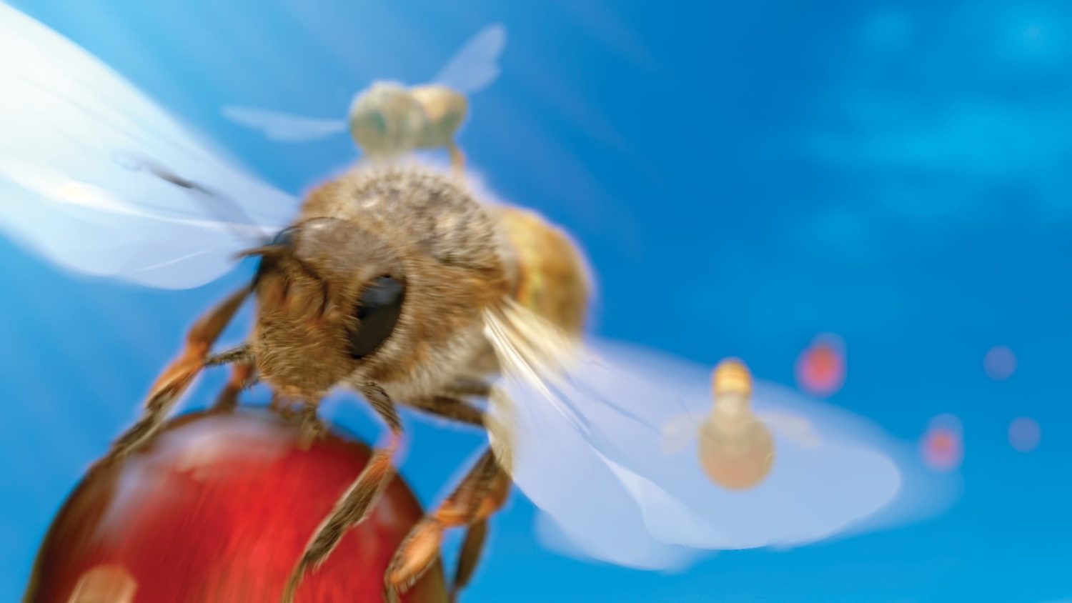 видеореклама морса Морсель poster frame